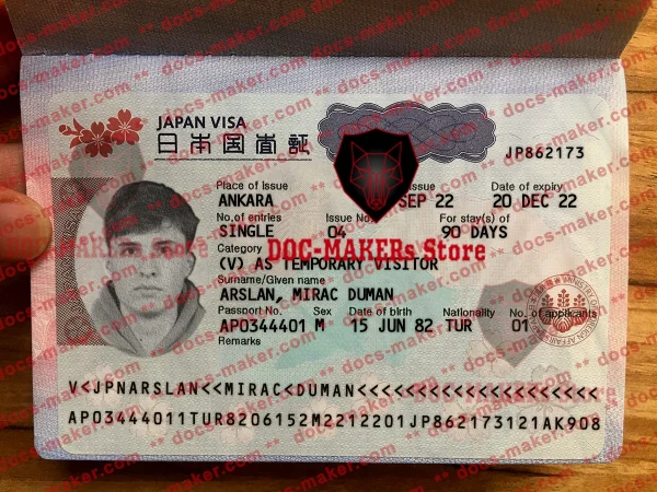 Japan Visa Sticker + Photo Look – PSD Template